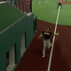 That’s Manny Machado out in deep right field with the catch of the year.